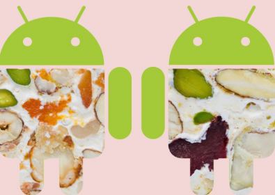 Android 7.0 Nougat: откриването на статуята в централата на Google (видео)