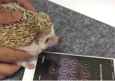 Най-сигурният начин да се защитят данните за iPhone видео