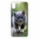 Cat Case - тънък силиконов (TPU) калъф (0.5 mm) за iPhone X/Xs thumbnail