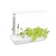 Platinet Vegebox Smart Garden 9 Planting Vacancy 21W  - уред за отглеждане на растения с LED лампа (бял) thumbnail 2
