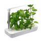 Platinet Vegebox Smart Garden 9 Planting Vacancy 21W  - уред за отглеждане на растения с LED лампа (бял) thumbnail 3