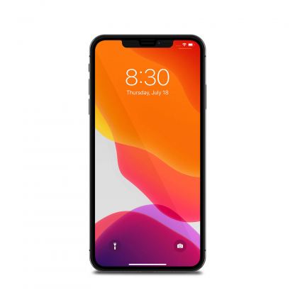 Moshi IonGlass - стъклено защитно покритие за целия дисплей на iPhone 11 Pro Max, iPhone XS Max (прозрачен-черен) 4
