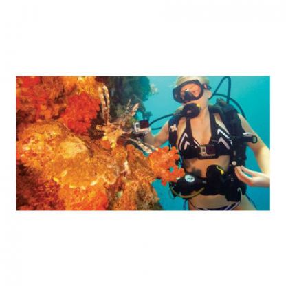 GoPro Magenta Филтър за Standard Housing 4