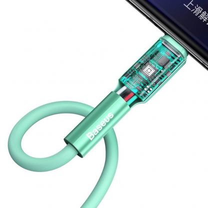 Baseus Silica Gel USB-C Cable - USB-C кабел за устройства с USB-C порт (200 см) (зелен) 4