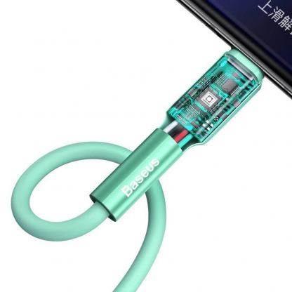 Baseus Silica Gel USB-C Cable - USB-C кабел за устройства с USB-C порт (100 см) (зелен) 4