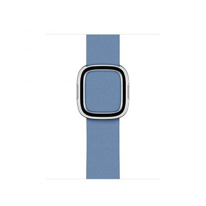 Apple Modern Buckle Band Small - оригинална кожена каишка за Apple Watch 38мм, 40мм (светлосин) 2