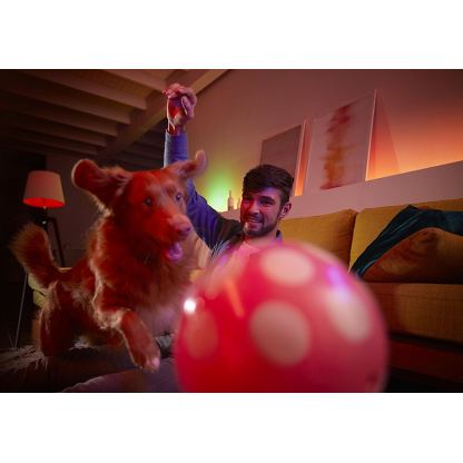 Philips Hue GU10 Starter Kit 3 x 6.5 W Bulbs, 1 x Switch, 1 x Bridge 2.0 - система за безжично управляемо осветление за iOS и Android устройства 17