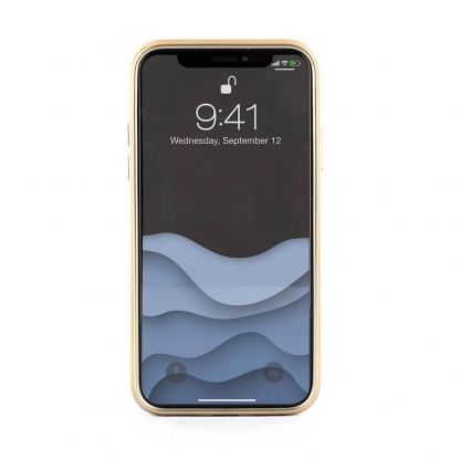 Ted Baker Patryce Premium Case - дизайнерски удароустойчив кейс за iPhone XS, iPhone X (черен) 3